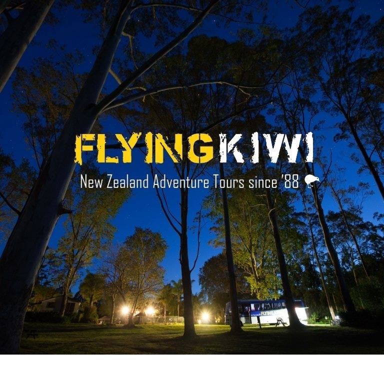 1Flying Kiwi image.jpg